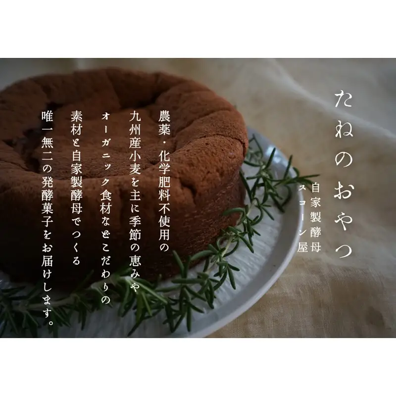 熟成ガトーショコラ【たねのおやつ】_HA1675
