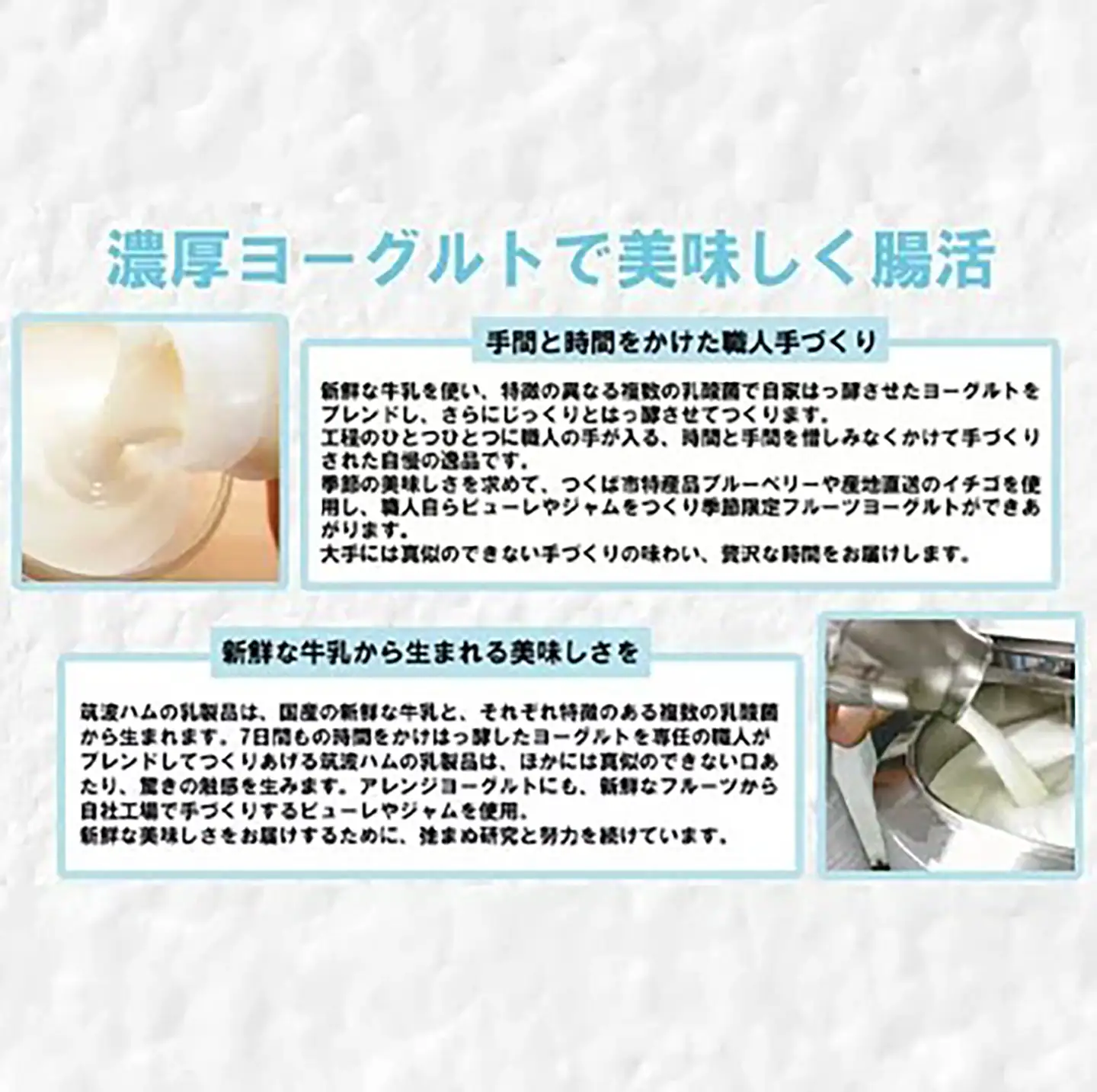 ヨーグルト 筑波ハム ブルーベリー ご褒美ヨーグルトギフトセット