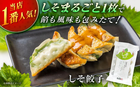 【計4パック】餃子屋ヒロの大人気餃子セット＋特製味噌ダレ付餃子 ぎょうざ[BDAS009-2]
