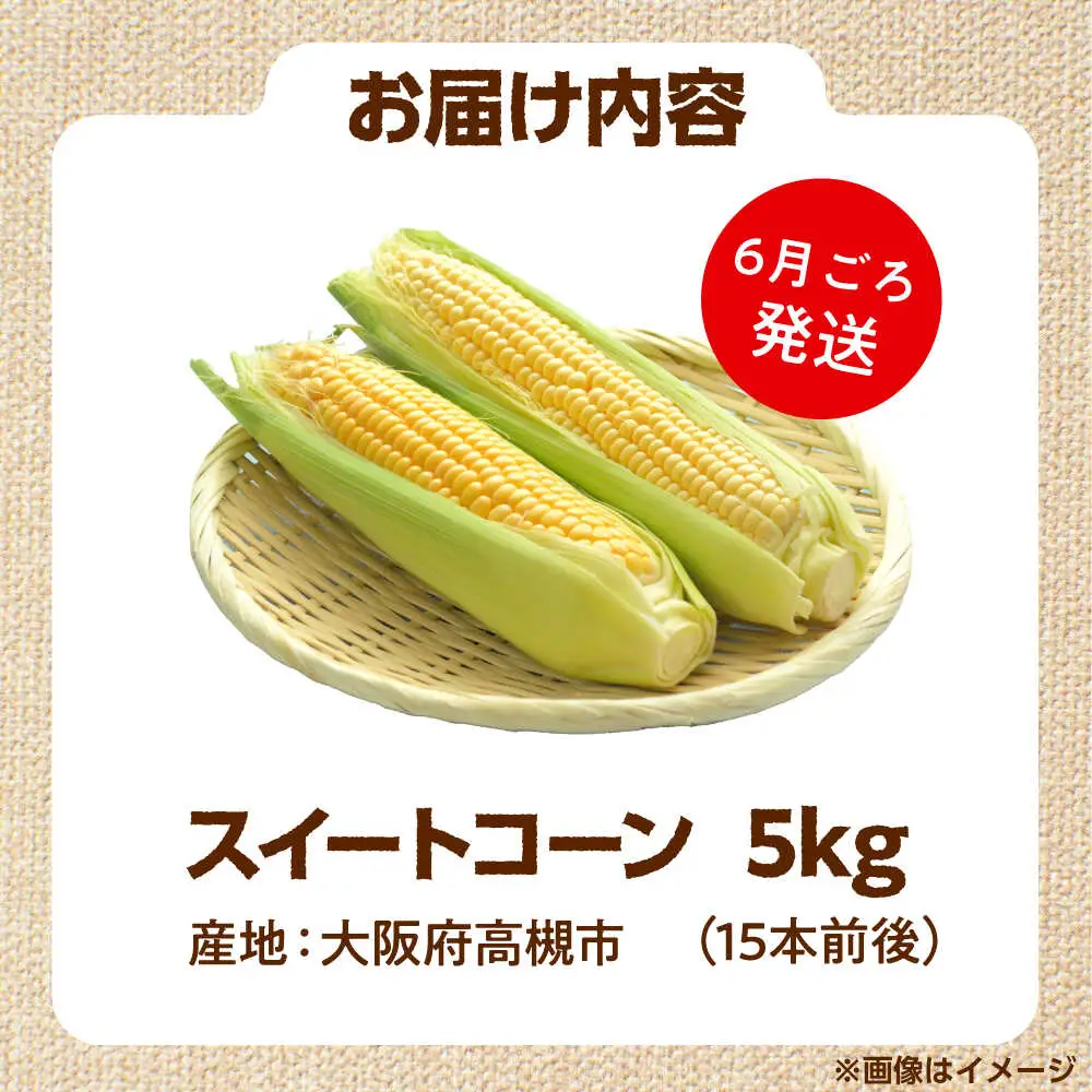 【6月以降発送予定】スイートコーン 5kg/15本前後[AOCS028]