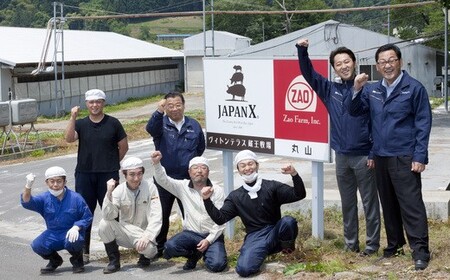 JAPAN X ハム・ベーコン＆ウィンナーセット/計1140g　【04301-0052】