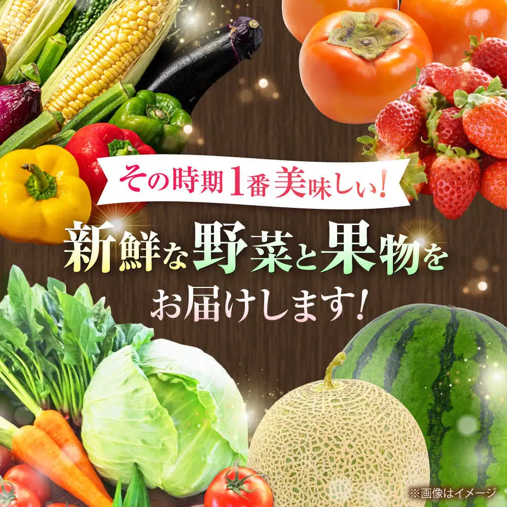 全3回定期便 菊陽町特産品 「 野菜 ・ 果物 などの詰め合わせ」 野菜 果物 BHAK007