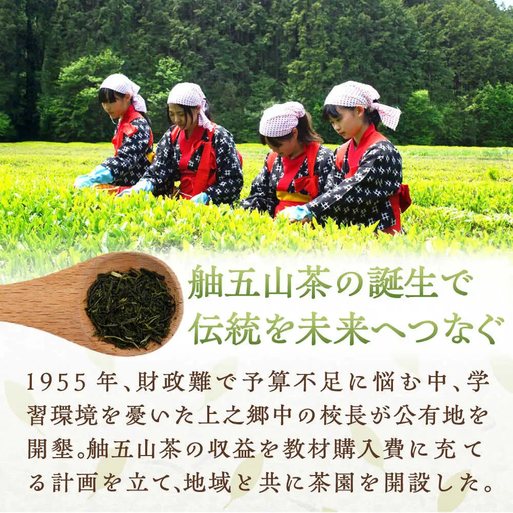 舳五山茶 満喫5種セット/緑茶 茶葉 茶ば お茶 茶摘み/御嵩町/舳五山茶園委員会[AVAD011]