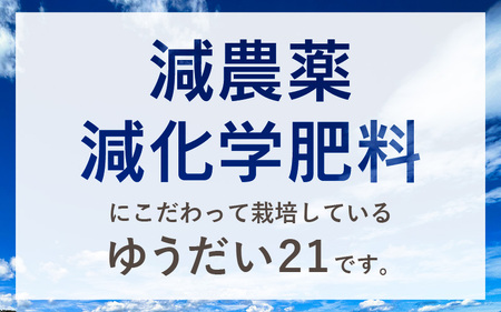 【令和6年産】 坂井市産 特別栽培米 ゆうだい 5kg 減農薬 減化学肥料 【お米 5キロ 特別栽培 ふるさと納税米 産地直送 福井県】 [A-4842]