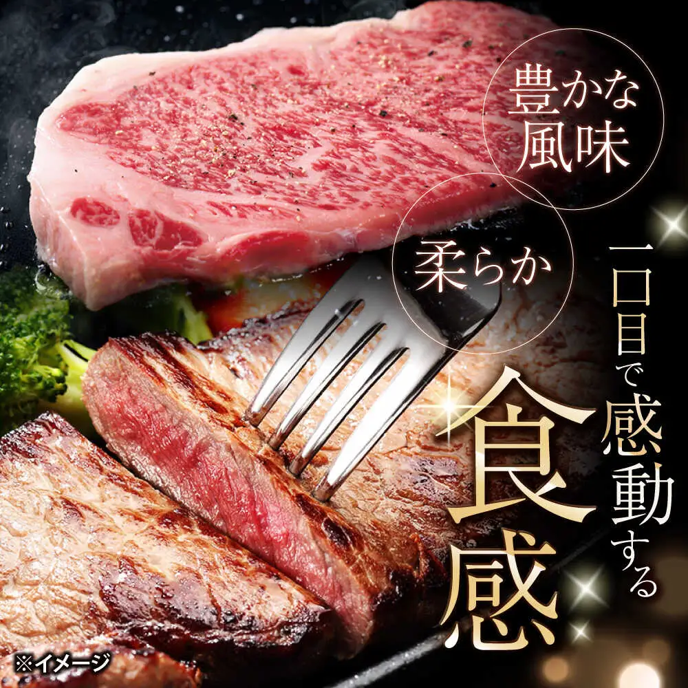 長崎和牛サーロインステーキ 400g [CEK190]｜ 和牛ステーキ