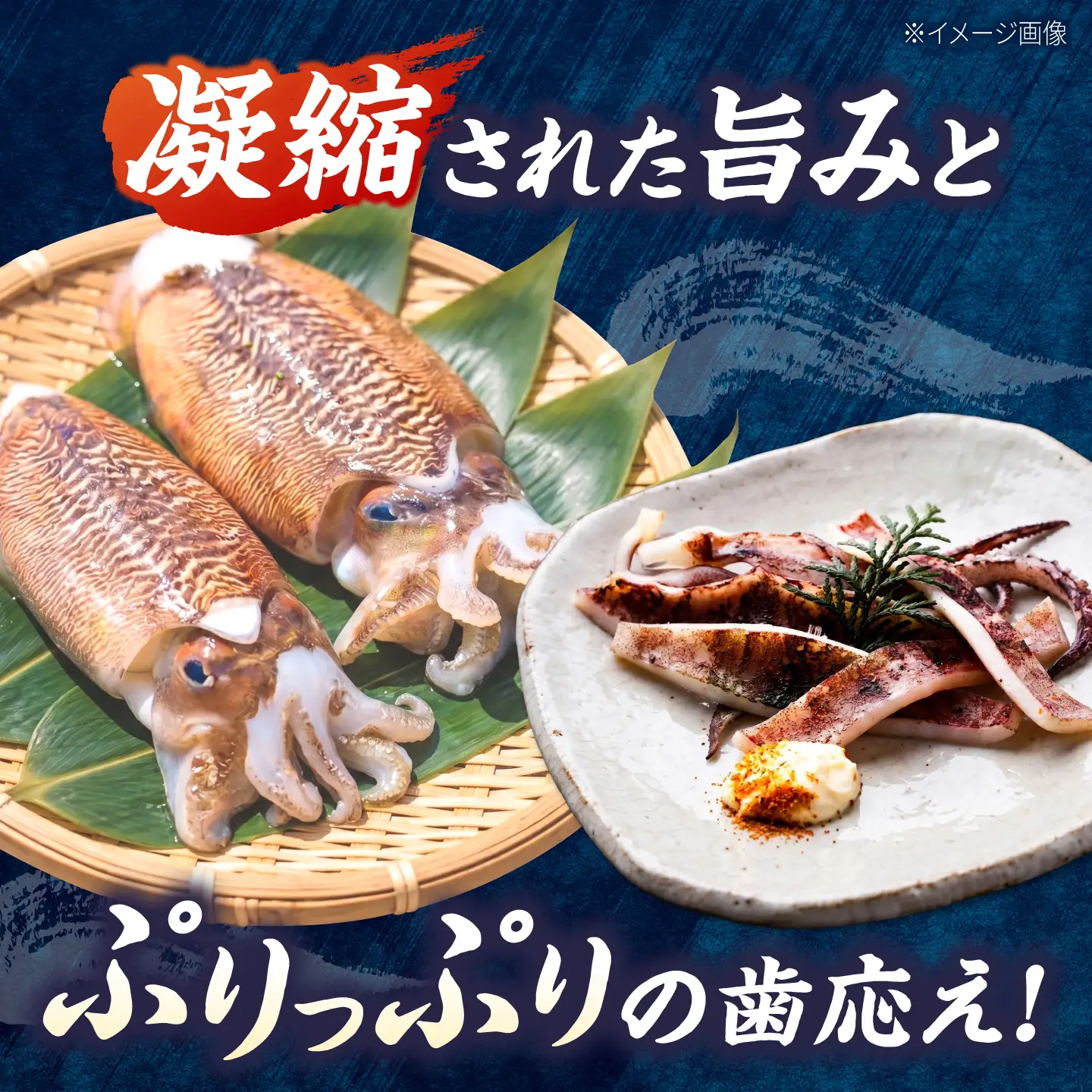 甲イカ一夜干し 5枚 [BGAW001] いか 一夜干し 干物