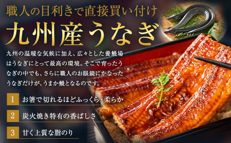 うなぎ 特上サイズ 4尾 贈答箱入り 鰻《30日以内に出荷予定(土日祝除く)》