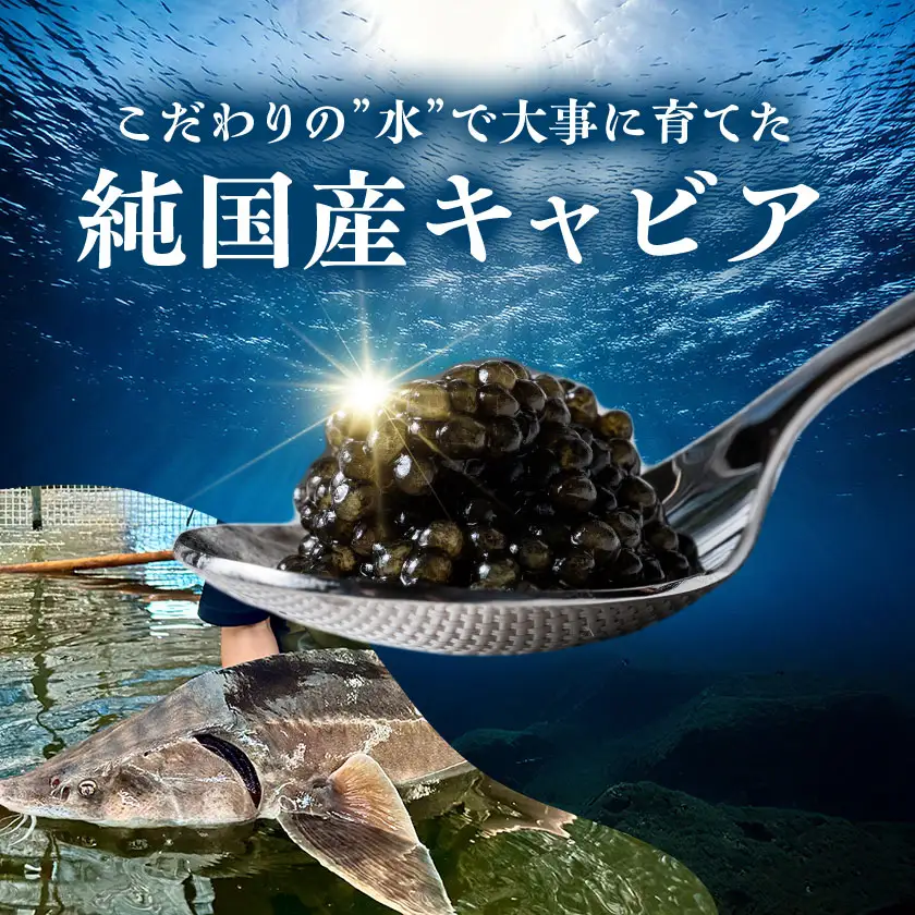 【先行予約】純国産キャビアVoeu-Pence　20g×1個【配送不可地域：離島・沖縄県】【1619559】