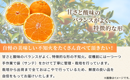 ＜おはこやがつくる おはこデコ（不知火）約2kg（L～3Lサイズ）＞ 果物 フルーツ 柑橘 しらぬい みかん 特産品 西宇和 愛媛県 西予市【常温】『2027年2月上旬～2月中旬迄に順次出荷予定』MOK0019