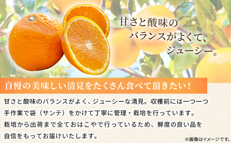 ＜おはこやがつくる 清見 約2kg（L～3Lサイズ）＞ 果物 フルーツ 柑橘 清見タンゴール みかん 特産品 西宇和 愛媛県 西予市【常温】『2027年3月上旬～3月中旬に順次出荷予定』MOK0020