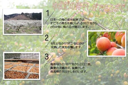 紀州南高梅はちみつ極塩分約6％（850ｇ）_YD1006