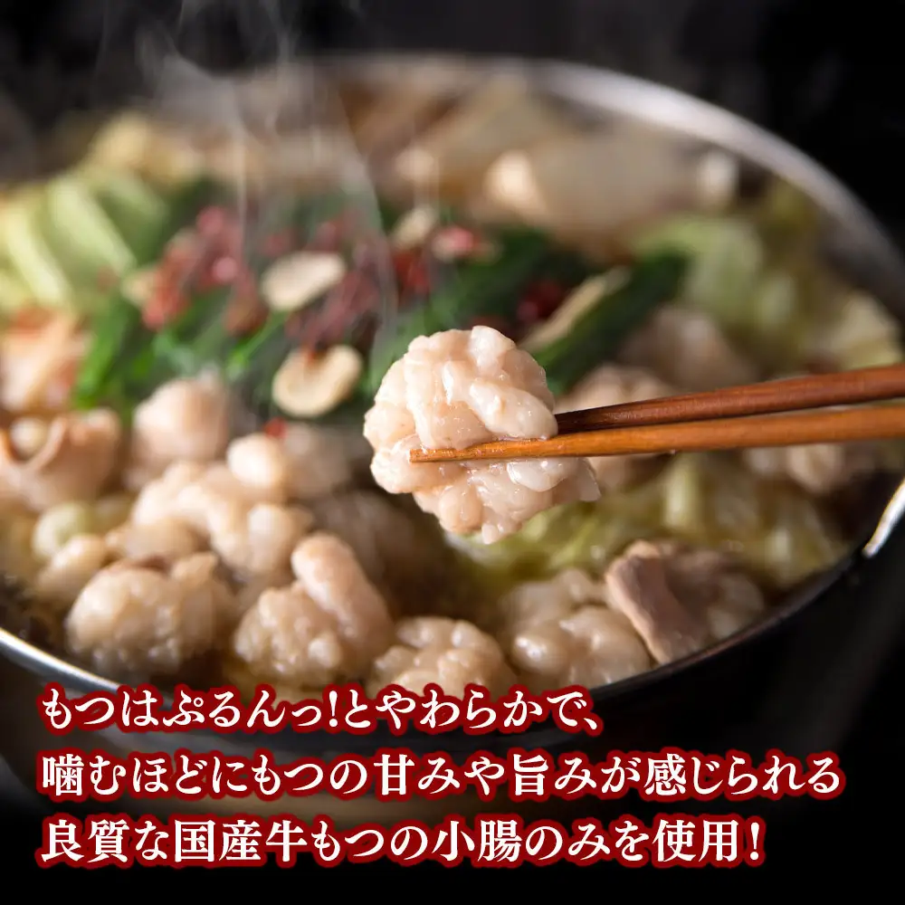 【海千】もつ鍋（醬油味）2-3人前セット