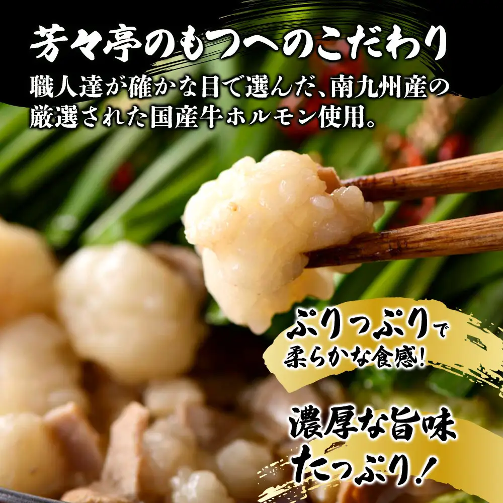 【芳々亭】もつ鍋2～3人前セット（味噌味）