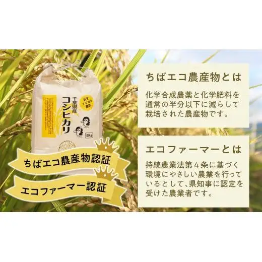 A01-002 アイガモ農法によるお米（玄米5.5kg）