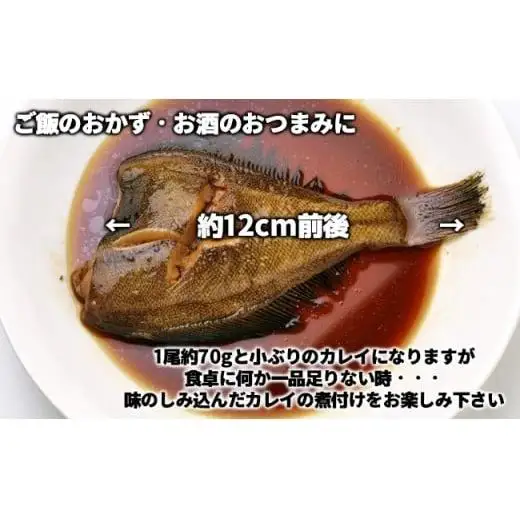 C01-E16 カレイの煮つけ（1尾まるごと70g×24パック）