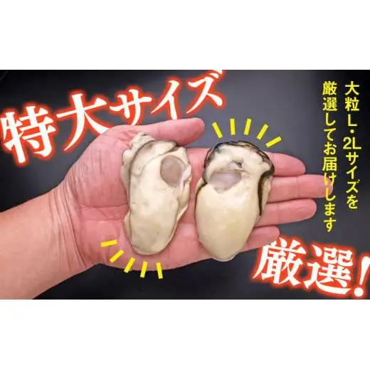 C01-J27 大粒むき身牡蠣 1.5kg（約35～45粒×1袋）