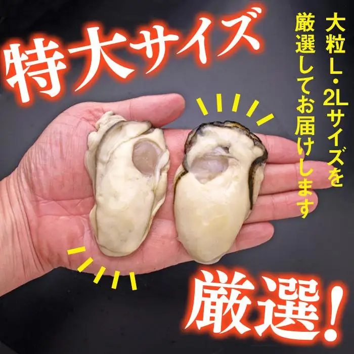 C01-H31 大粒むき身牡蠣 3kg（約20～30粒×3袋）