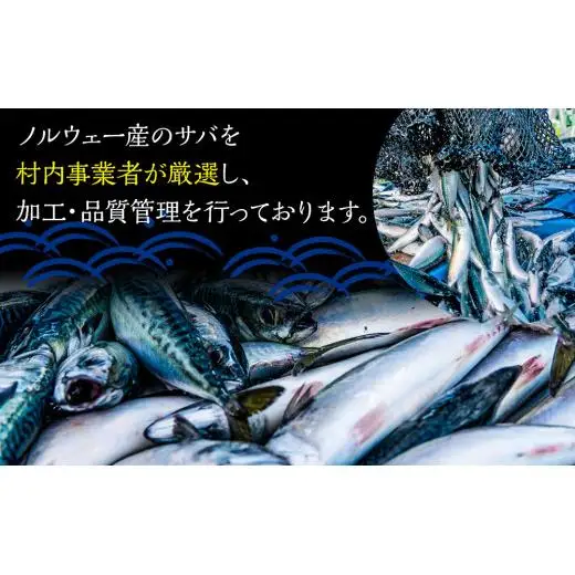 C01-B54 塩サバフィレ 3.5kg