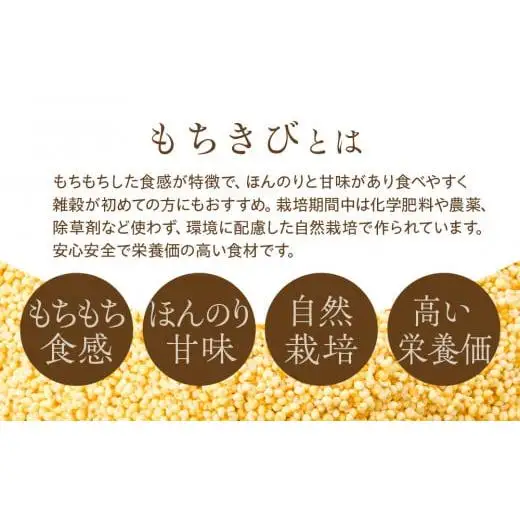 AB1-001 千葉県長生村産　もちきび（200g×3袋セット）