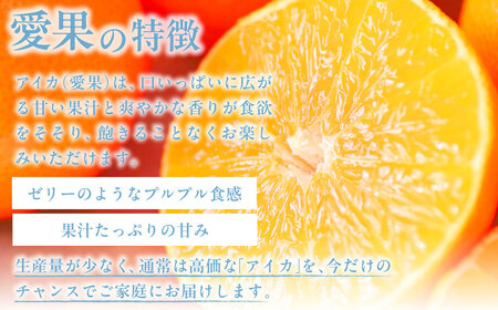 【先行予約】【家庭用】愛果28号 約5kg ※離島への配送不可（2026年12月中旬より順次発送） IKTAB002