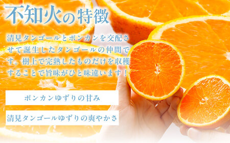 【先行受付】【家庭用】不知火（しらぬい） 約10kg ※離島への配送不可 （2027年3月上旬より順次発送） IKTAB004 