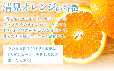 【先行受付】【※超訳あり】清見オレンジ約 10kg ※離島への配送不可（2027年3月下旬より順次発送） IKTAB010 