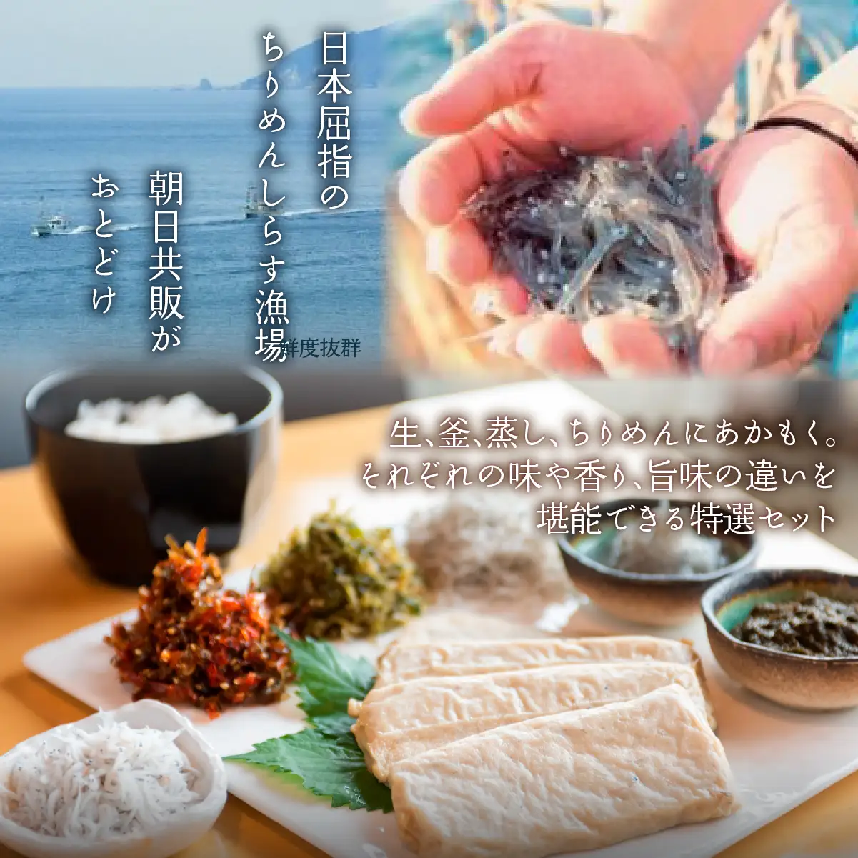 【佐田岬の味を網羅】佐田岬特選セット IKTB021 