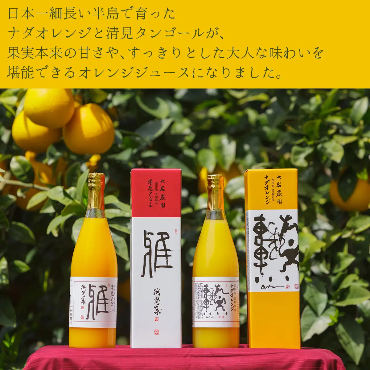 愛媛県産 果汁100％みかんジュース2本入りセット（清見・ナダオレンジ） IKTC011 