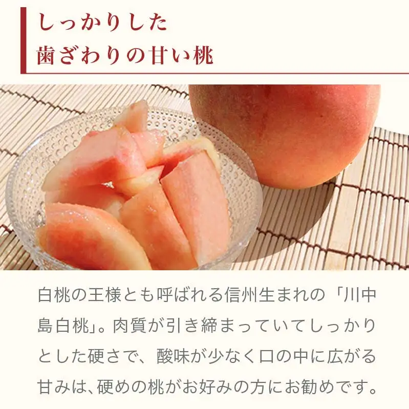 川中島白桃 約3kg 6～12玉 ［小布施屋］ 桃 白桃 もも モモ フルーツ 果物 令和8年産 【2026年8月下旬～9月上旬発送】［A-6］