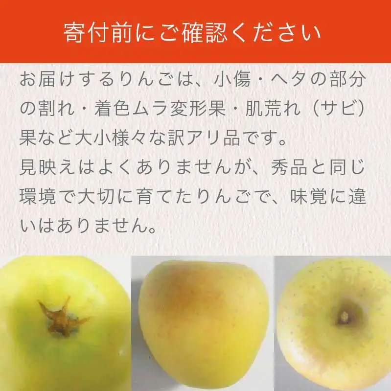 【訳あり】 シナノゴールド 約3kg 6～12玉 ［おぶせファーマーズ］ 不揃い 規格外 家庭用  果物 フルーツ りんご 林檎 リンゴ 長野県産 信州産 令和8年産 【2026年10月中旬～2027年1月上旬発送】 ［FH-53］