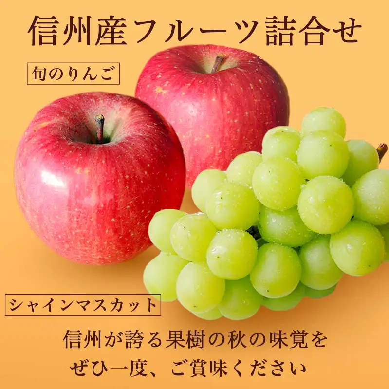先行受付 シャインマスカット1房とりんご2玉 約1.3kg　詰め合わせ ［小布施屋］令和8年産 【2026年9月下旬頃～11月上旬頃まで順次発送】 ［A-307］