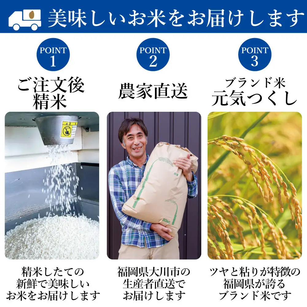 【先行予約】【2026年11月より順次発送】《令和8年産》 福岡県大川市産 米 「 元気つくし 」 5kg×3個 計15kg | お米 米 こめ 精米 白米 ライス ブランド米 ごはん ご飯