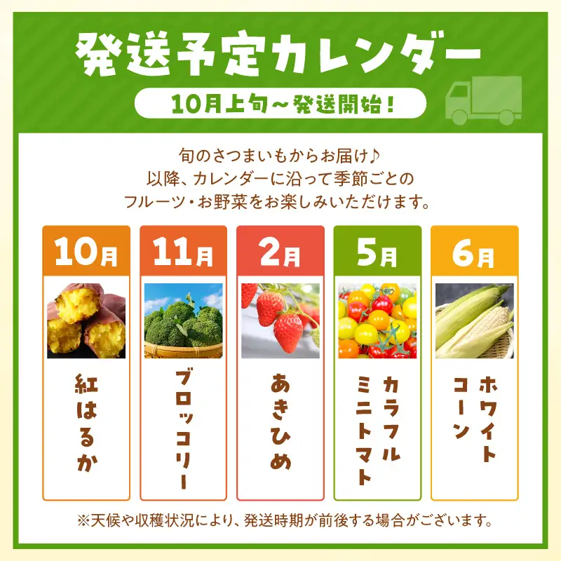 【旬の野菜定期便】イチゴやヤサイ 全5種  旬野菜