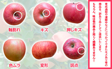 【家庭用】山形のりんご サンふじ 約5kg(10～20個) FY25-128