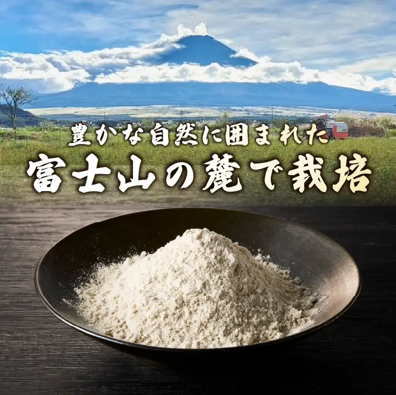 富士北麓忍野村産　石臼挽きそば粉（500g）農薬不使用