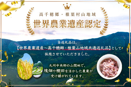 【3回定期便】【雑穀米】藤の花色に染まる美しい六穀米《藤六穀》300g×1袋 3回配送【世界農業遺産 高千穂郷・椎葉山地域】雑穀米 定期便 うるち米 たかきび 挽割とうもろこし もちあわ もち麦 黒米 TT-12