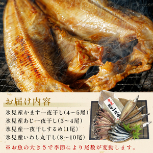 【隔月3回】一夜干し4種詰合せ定期便《カマス・アジ・イワシ・スルメイカ》 富山県 氷見市 定期便 干物 かます あじ 鰯 いわし いか おかず 一品