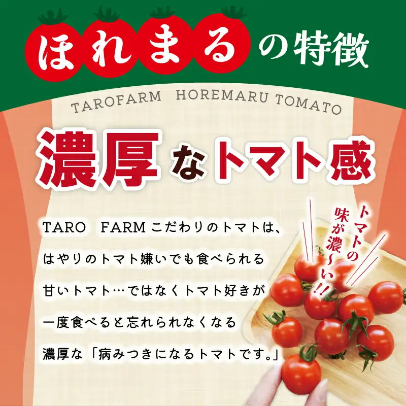 明和町産 完熟 トマト ほれまる 1kg ミニトマト 朝採り 新鮮 生鮮 野菜 あっさり