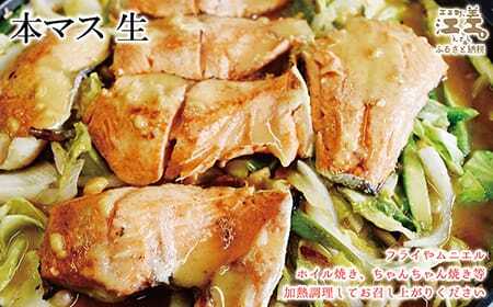 船上活〆北海道日本海産 本マス〈サクラマス〉生半身　加熱調理用　ふんわり食感　癖のない上品な旨みと脂のり　「鮭より美味い」という評判も　神経締め　活締め　桜鱒　サーモン