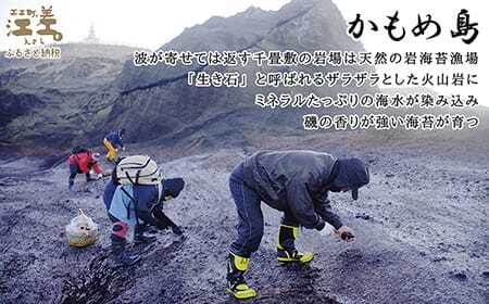 かもめ島の岩海苔〈天然・無添加・手摘み手打ち〉全形10枚　数量限定　北のハイグレード食品2022選定「江差名産 黒のり」　希少な「天然岩ノリ」だけで漁師が手作り　最高級の生干し板海苔　漁師めし　絶品海苔弁当　最高のおにぎり　国産海藻　北海道日本海