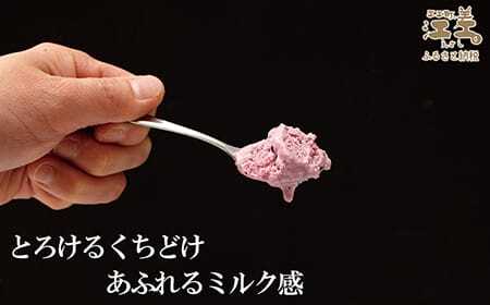 北海道産ミルク使用　江差産果実のアイスクリーム　アロニア＆キウイフルーツ【思いやり型返礼品】各120ml×3個（計6個）　「とろけるくちどけ　あふれるミルク感」