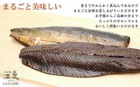 江差前浜産にしん使用 トロにしんの甘露煮（半身2～3枚入り2パック）　旨みたっぷりにしん　ご飯がすすむ甘辛味　骨までやわらか丸ごとお召し上がりいただけます　便利なレトルトパック　常温保存可能　国産ニシン　鰊　魚のお惣菜　北海道産　【思いやり型返礼品】