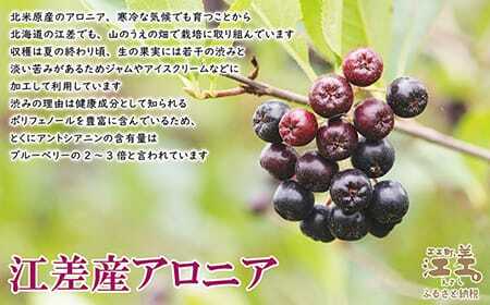 江差産果実使用　アロニアキャンディ【思いやり型返礼品】　障がい者支援　社会参加促進　農福連携