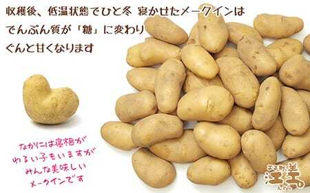 【早期予約 2026年2月より順次出荷】北海道産 越冬メークイン M・L混合 5kg　低温熟成　糖度アップ　訳あり　農家直送　越冬じゃがいも　越冬いも　よく寝たいも　甘い　芋の塩煮にぴったり　じゃがバター　いかの塩辛と一緒にどうぞ