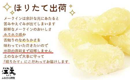 《8月頃～順次出荷予定》新鮮！ほりたて！「江差産メークイン5kg M・L混合」しっとりほくほく　甘い　北海道のメークイン　北海道産じゃがいも　じゃがバター　肉じゃが　カレー　シチュー　いもの塩煮