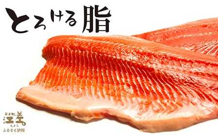 ＼配送月指定可／北海道産 サーモン お刺身用ブロック 500g（100g×5P）　日本海 かもめ島海面養殖　純国産 ブランドサーモン『江さしっ子 繁虎』　衝撃の口どけ　とろける脂　生食可　冷凍　小分け　個包装　トラウトサーモン　刺身　サーモンステーキ　カルパッチョ　海鮮　鮭　さけ　シャケ　しゃけ　さーもん　のし対応可　贈答用　ギフト　お中元　お歳暮