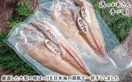 まるまる太った根ボッケひらき 大サイズ（約30cm）2枚　北海道日本海産　漁師直送　浜のかあさん手づくり　肉厚な大きい ほっけ
