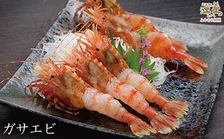 【！！先行予約！！＼12月中旬以降、順次出荷予定／】北海道産 天然えび食べくらべセット　計1kg　濃厚な甘みの日本海シマエビ（大）500g＆飽きのこない旨みのガサエビ500g　国産　江差近海産　天然もの　エビかご漁師直送　最良品厳選　生食可　お刺身　天ぷら　エビフライ　海老