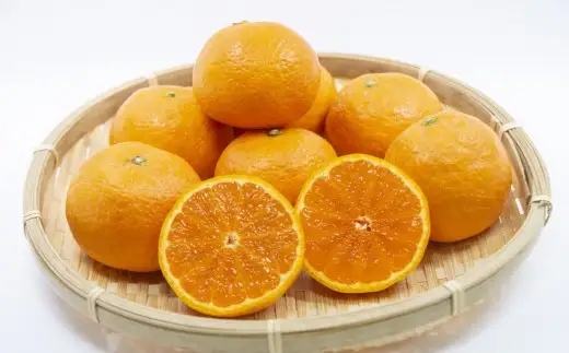【春みかん】和歌山有田産カラマンダリン約5kg(サイズおまかせ) 