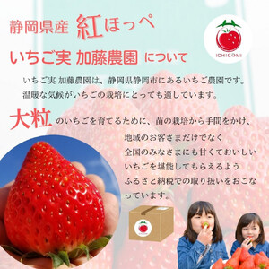 【2026年内お届け！！贈答用】 静岡県産いちご 紅ほっぺ 500g×2パック（1パック12～15粒） 冷蔵配送【配送不可：北海道・沖縄・離島】 苺 フルーツ◇